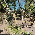 6 Person In Casa de Férias Glesborg